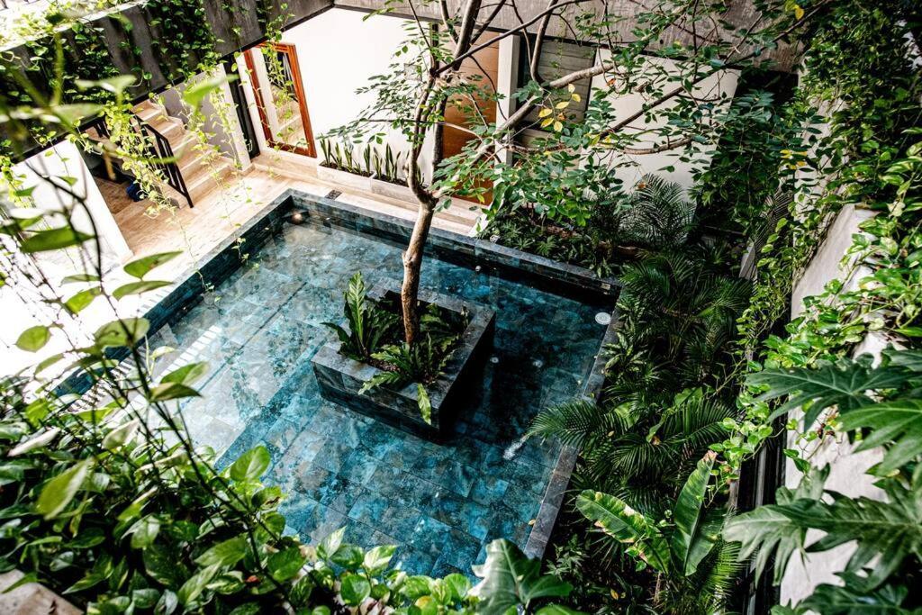Ocean View Studio, Rooftop Pool, Steps From Hyatt